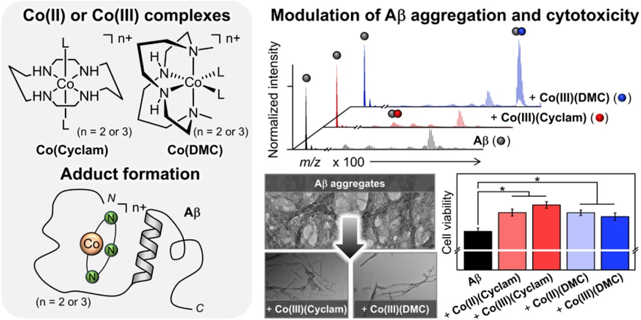 Cobalt complexes 연구 graphical abstract