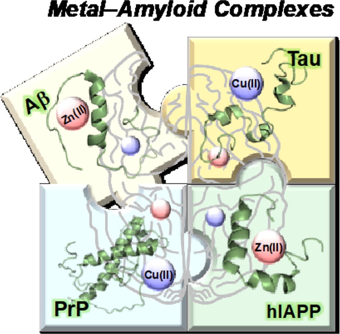 Metal ions와 amyloidogenic proteins 총설 graphical abstract