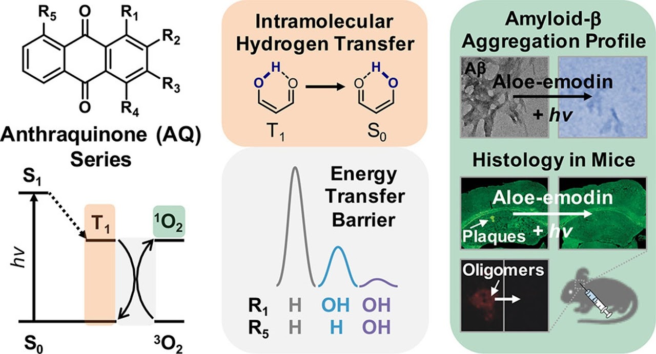 Excited-state hydrogen transfer 연구 graphical abstract