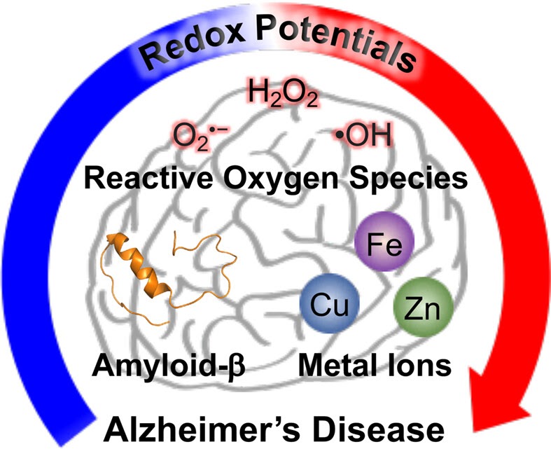 Redox-active small molecules 총설 graphical abstract
