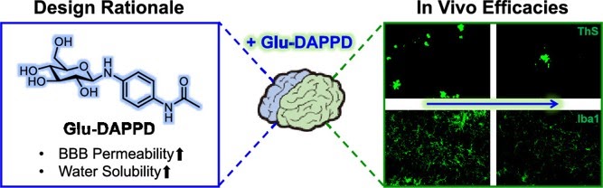 Glycosylated prodrug 연구 graphical abstract