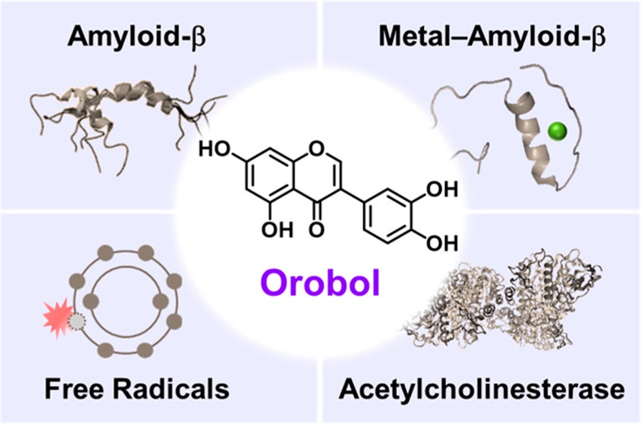Orobol 연구 graphical abstract