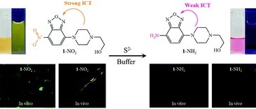 NBD-based sulfide sensor 연구 graphical abstract