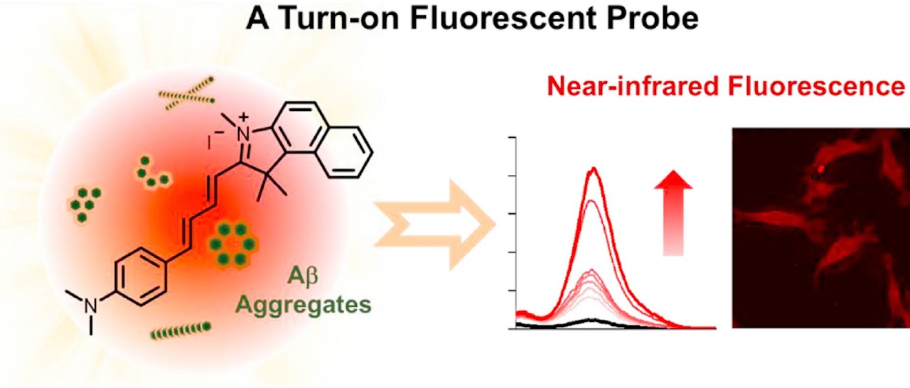Near-infrared amyloid-beta probe 연구 graphical abstract